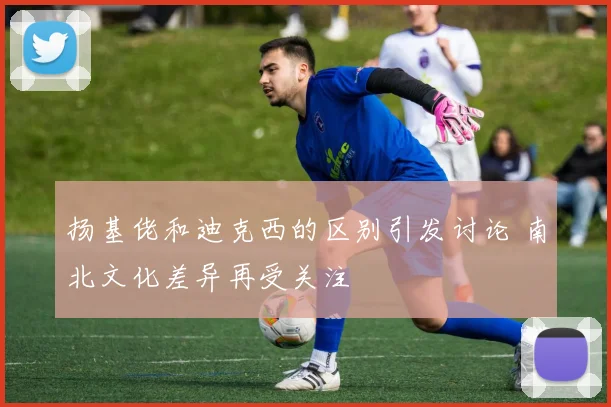 扬基佬和迪克西的区别引发讨论 南北文化差异再受关注