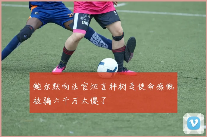 鲍尔默向法官坦言种树是使命感慨被骗六千万太傻了
