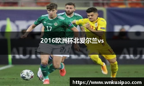 2016欧洲杯北爱尔兰vs