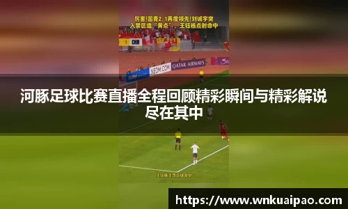 河豚足球比赛直播全程回顾精彩瞬间与精彩解说尽在其中